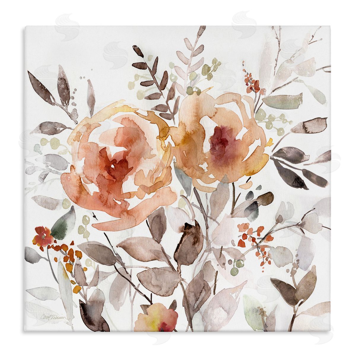 Floral Impressions on White Canvas Wall Art, Home Decor by Carol Robinson