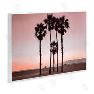 Natalie Carpentieri | Cluster of Palm Trees