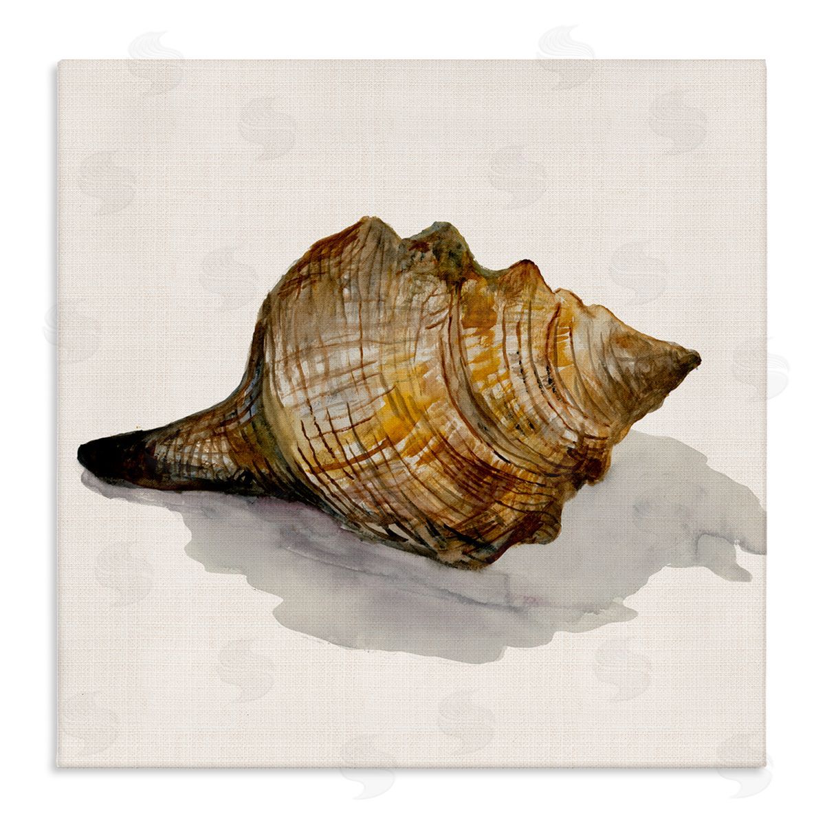 Conch Shell on Beige Canvas Wall Art, Home Decor by Jacob Q