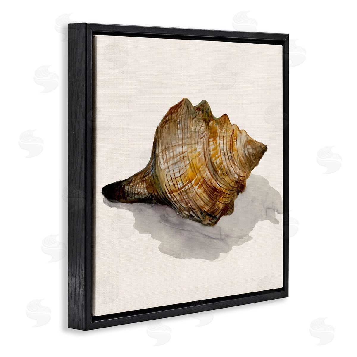 Conch Shell on Beige Black Floating Frame Canvas Wall Art, Home Decor by Jacob Q