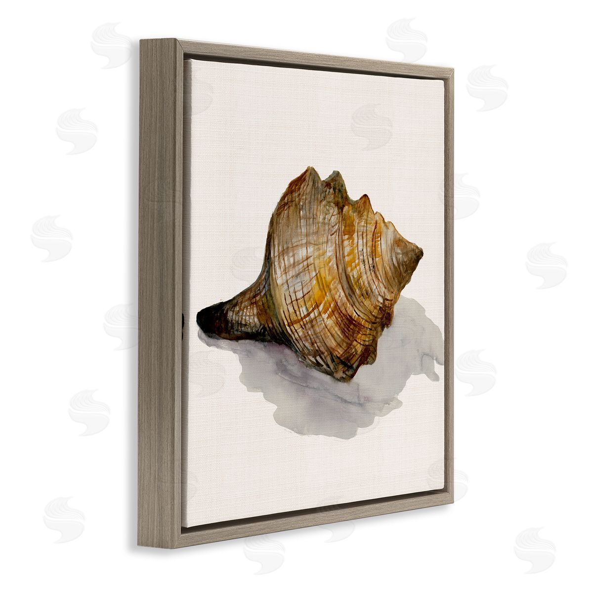 Conch Shell on Beige Brown Floating Frame Canvas Wall Art, Home Decor by Jacob Q