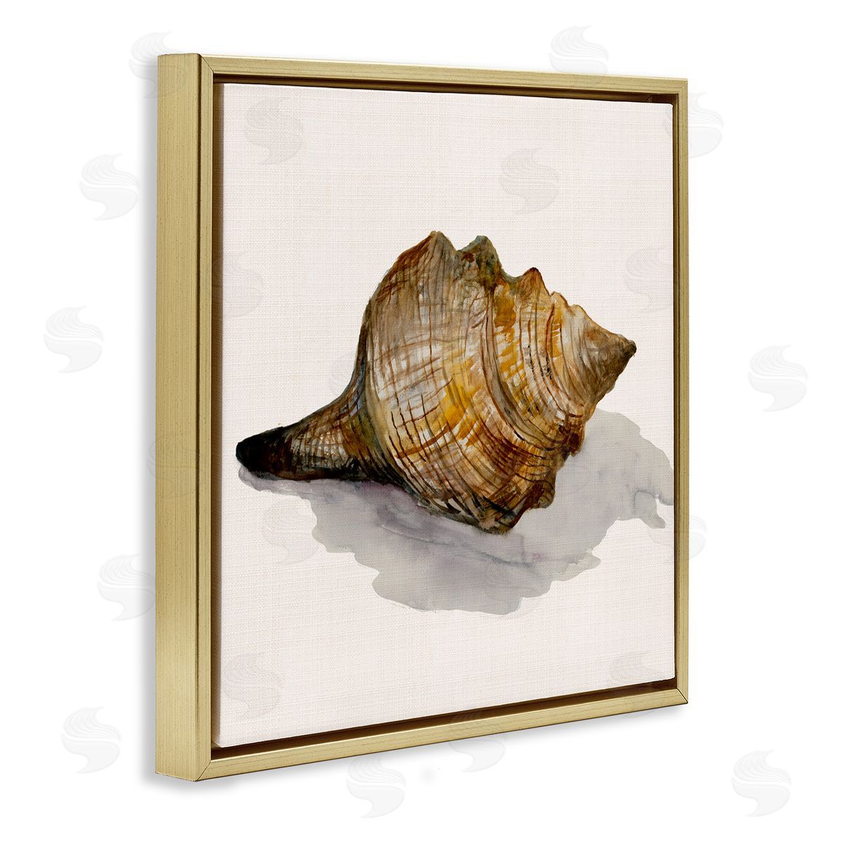 Conch Shell on Beige Gold Floating Frame Canvas Wall Art, Home Decor by Jacob Q