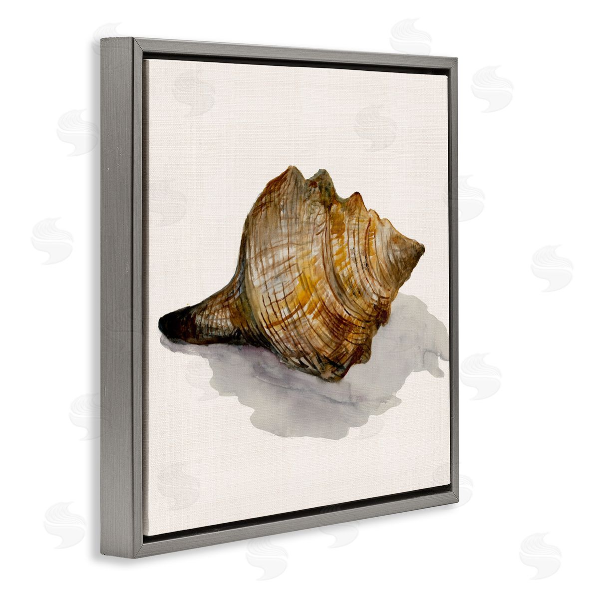 Conch Shell on Beige Grey Floating Frame Canvas Wall Art, Home Decor by Jacob Q