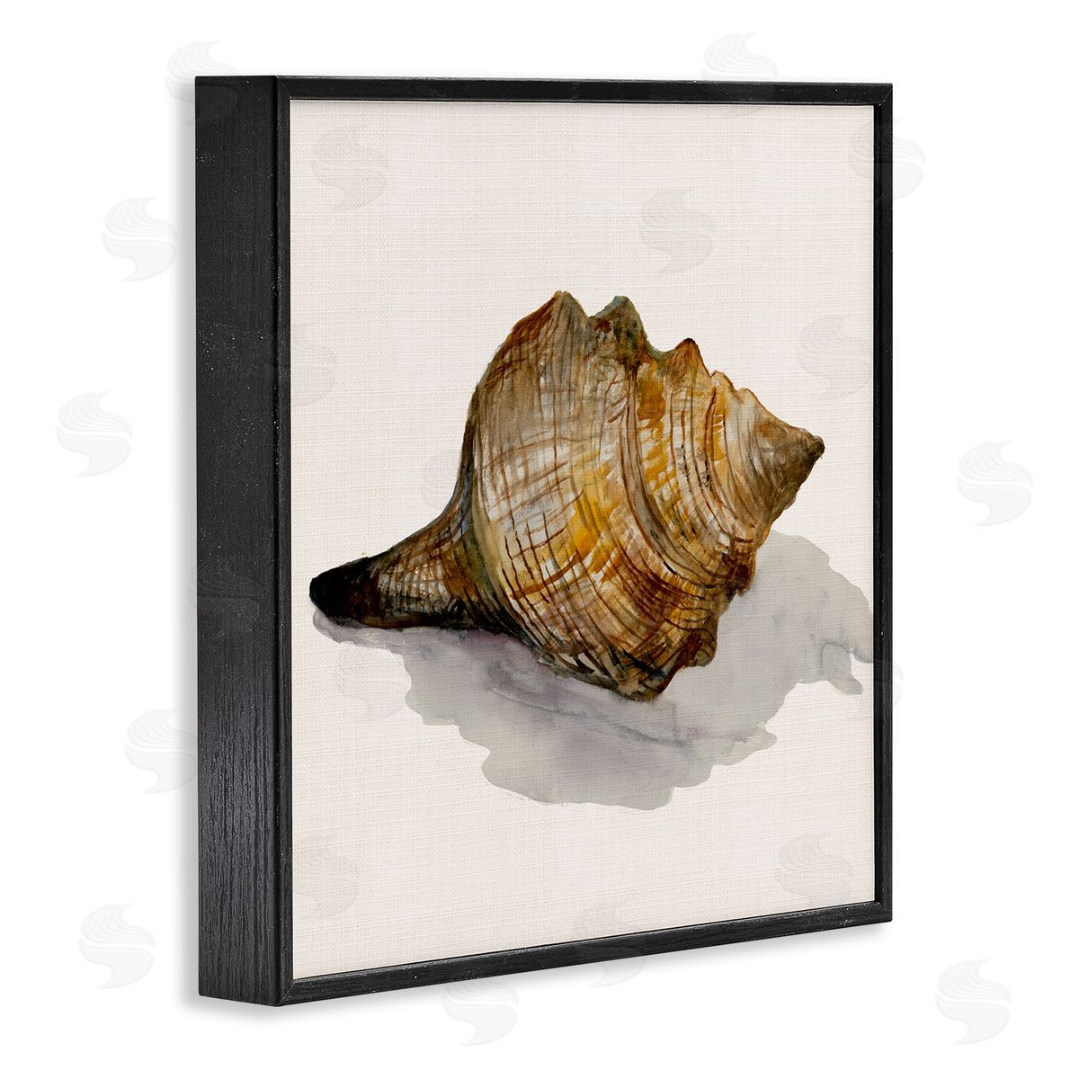 Conch Shell on Beige Black Frame Print Wall Art, Home Decor by Jacob Q