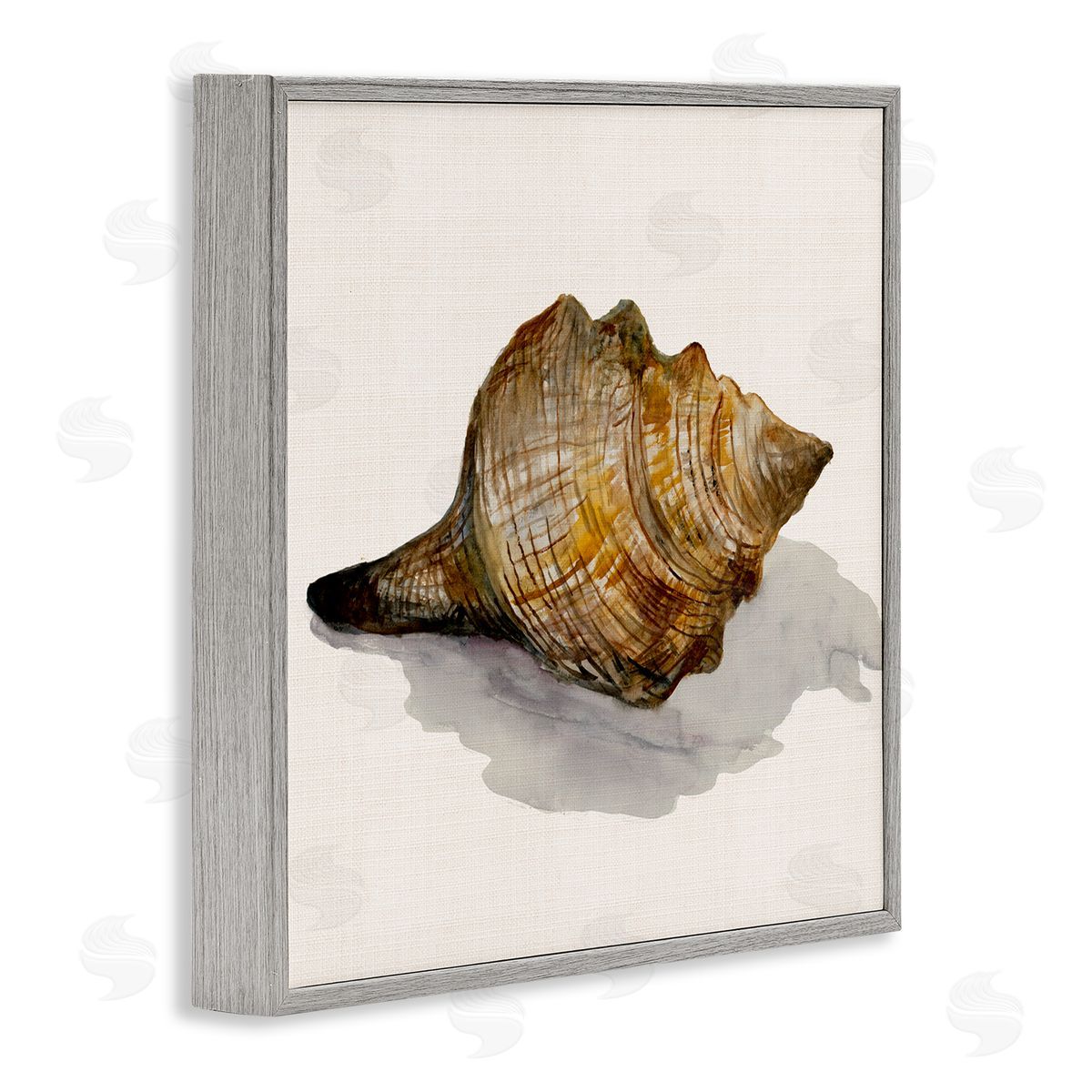 Conch Shell on Beige Grey Frame Print Wall Art, Home Decor by Jacob Q