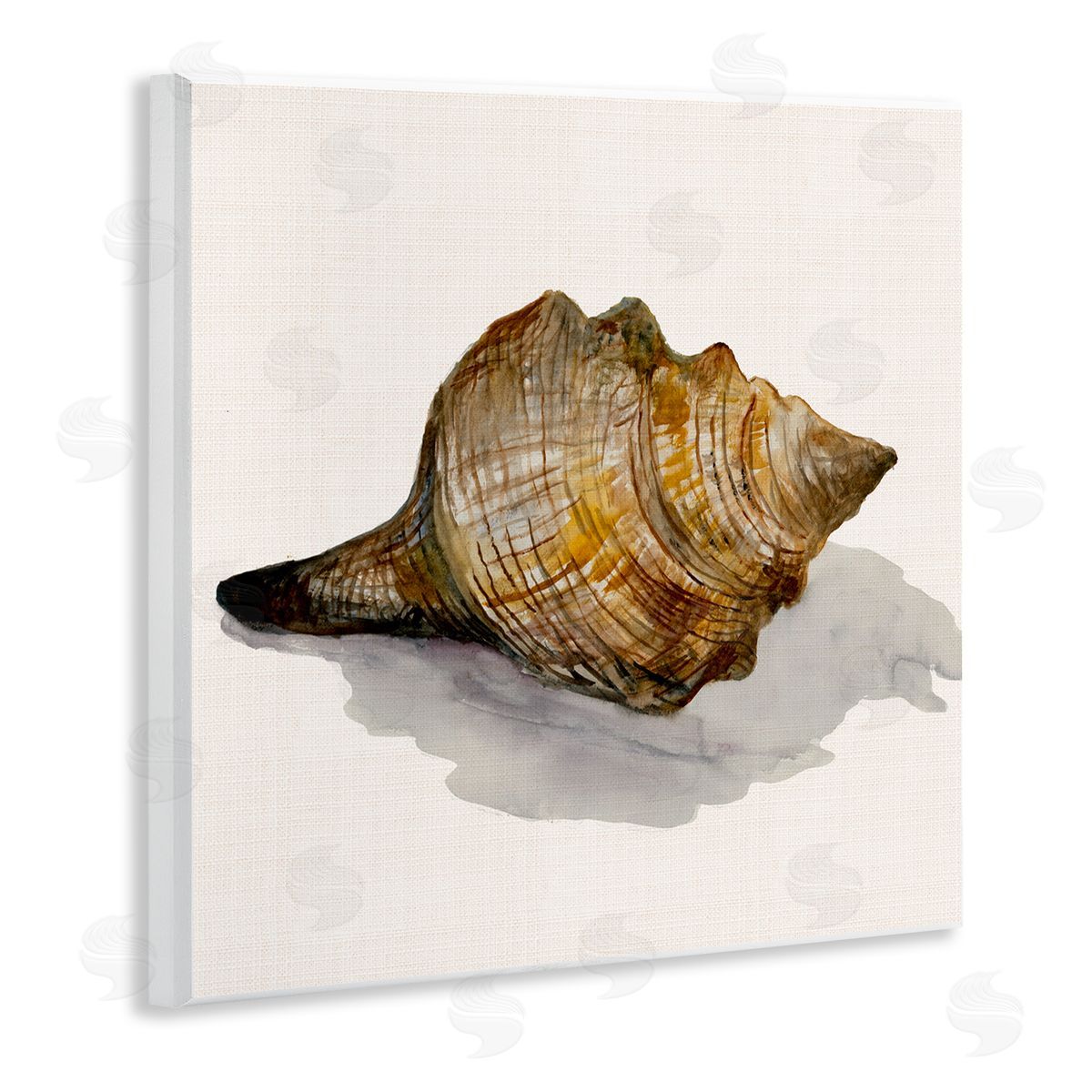 Conch Shell on Beige Wood Plaque Wall Art, Home Decor by Jacob Q