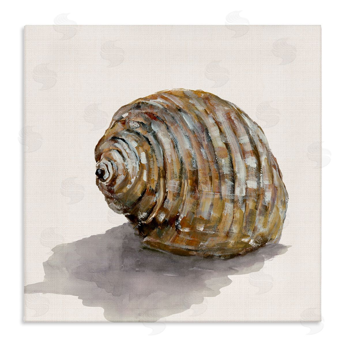 Curved Seashell on Beige Canvas Wall Art, Home Decor by Jacob Q