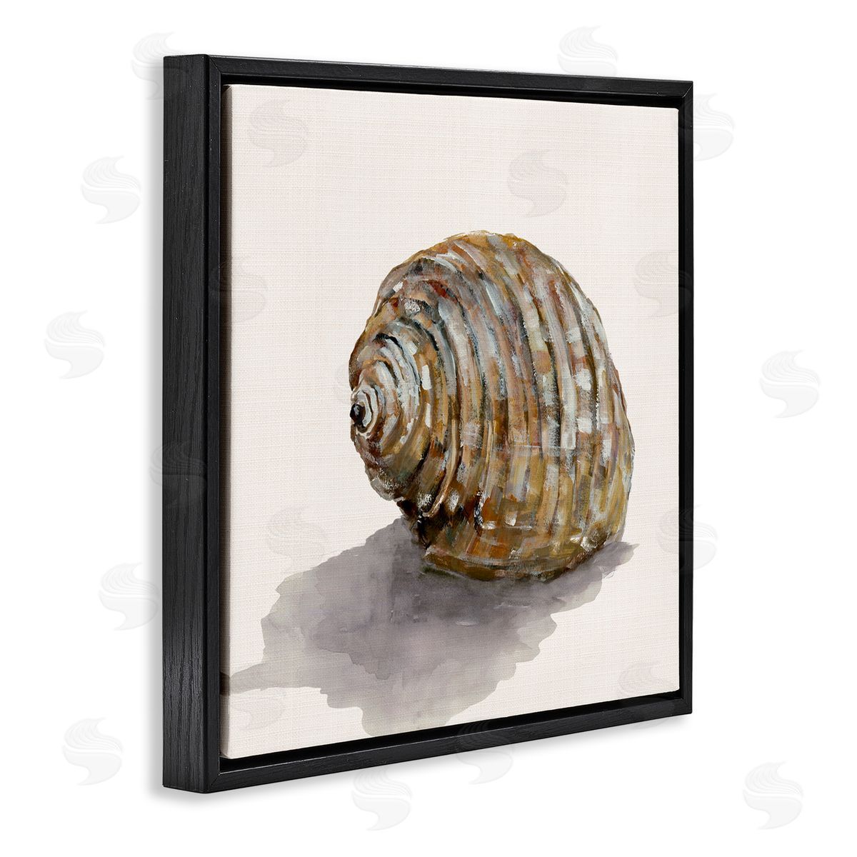 Curved Seashell on Beige Black Floating Frame Canvas Wall Art, Home Decor by Jacob Q