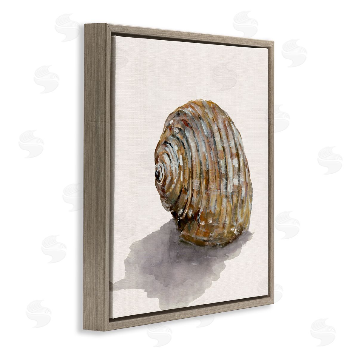 Curved Seashell on Beige Brown Floating Frame Canvas Wall Art, Home Decor by Jacob Q