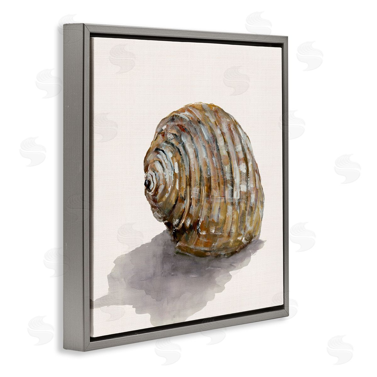 Curved Seashell on Beige Grey Floating Frame Canvas Wall Art, Home Decor by Jacob Q