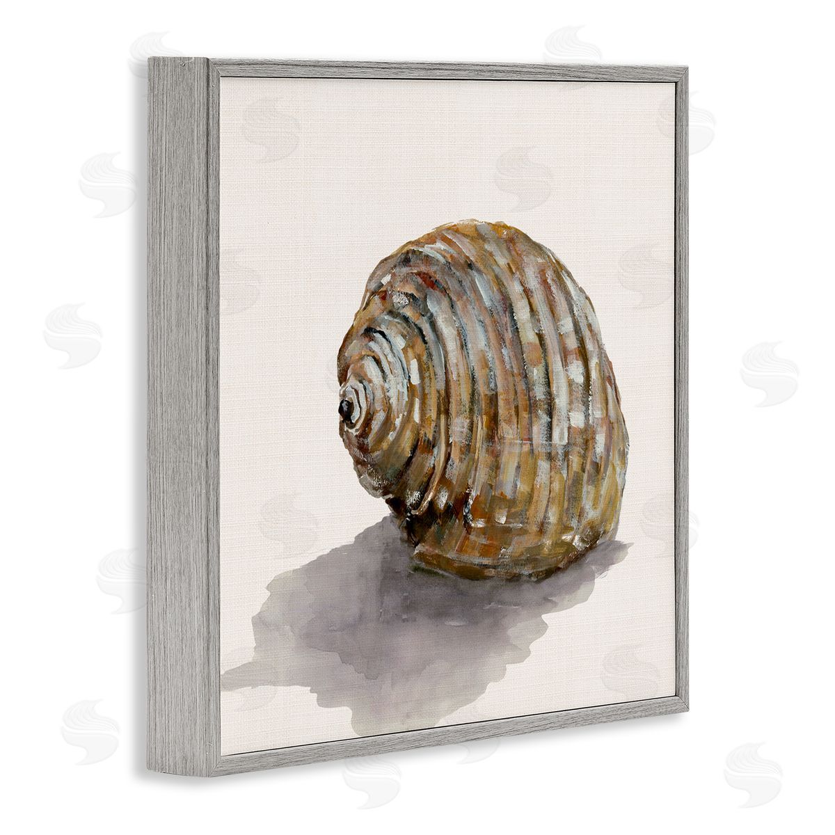 Curved Seashell on Beige Grey Frame Print Wall Art, Home Decor by Jacob Q