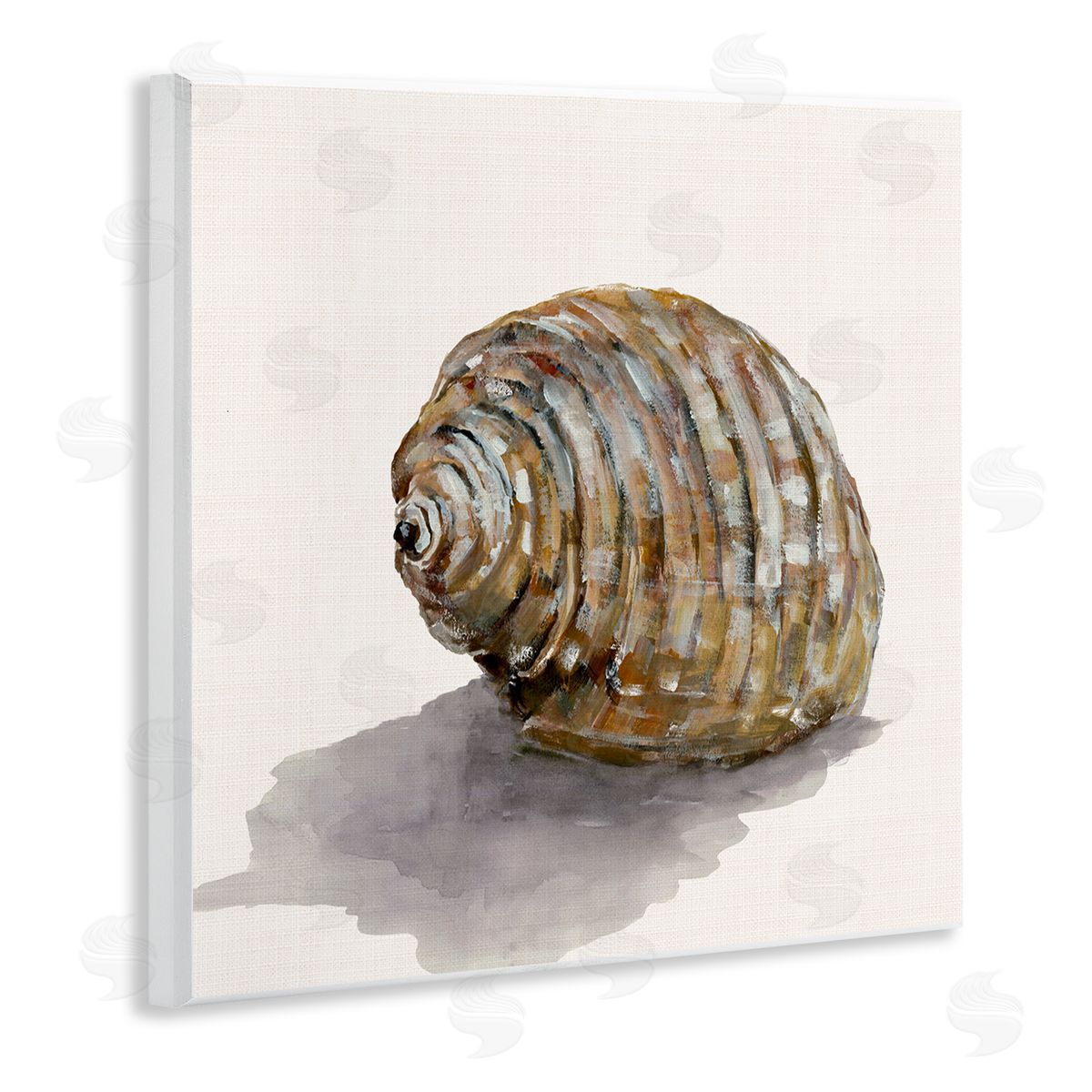 Curved Seashell on Beige Wood Plaque Wall Art, Home Decor by Jacob Q