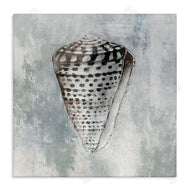 Eli Jones | Organic Cowrie Shell