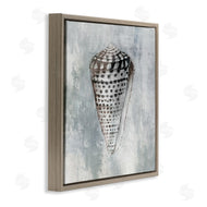 Eli Jones | Organic Cowrie Shell