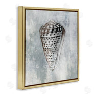 Eli Jones | Organic Cowrie Shell