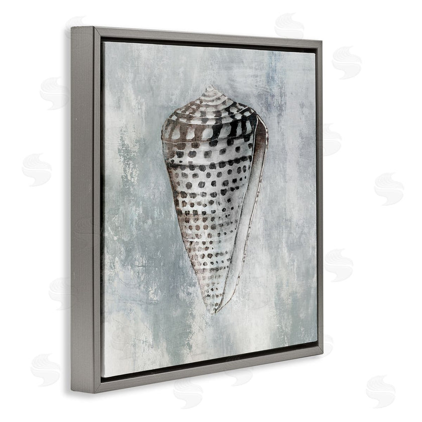 Eli Jones | Organic Cowrie Shell