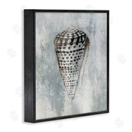 Eli Jones | Organic Cowrie Shell