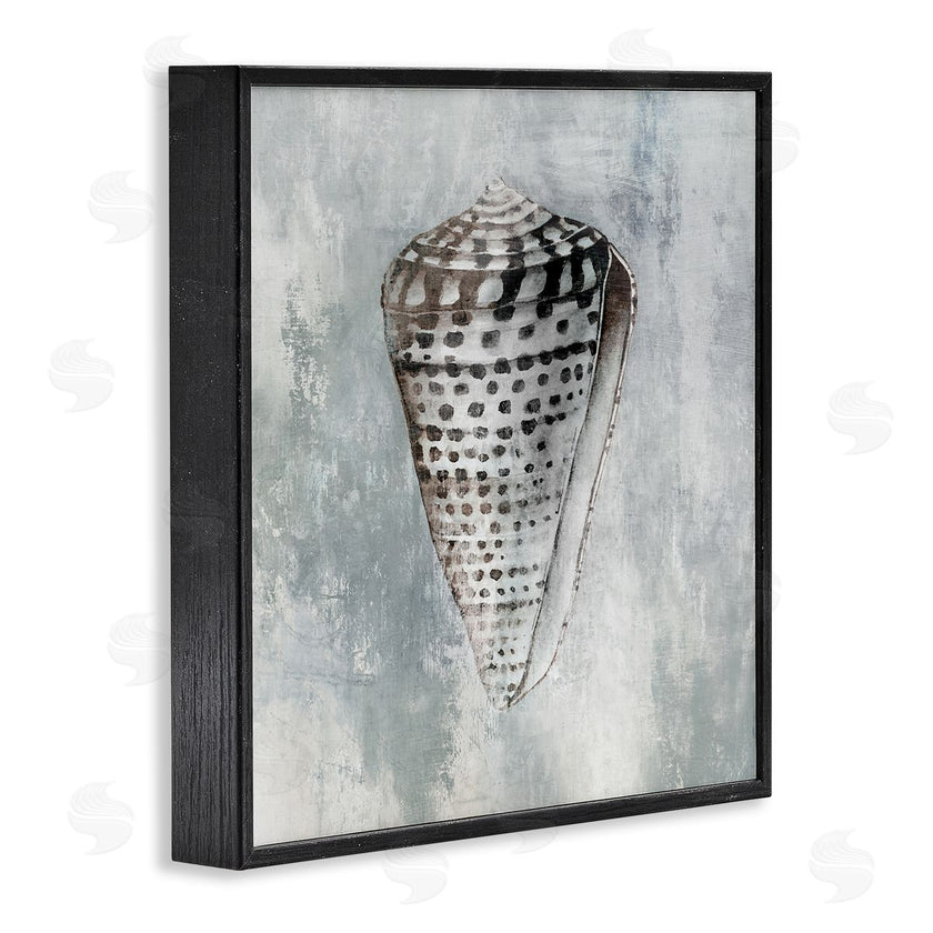 Eli Jones | Organic Cowrie Shell