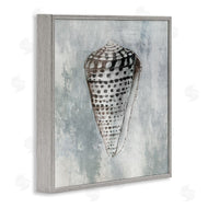 Eli Jones | Organic Cowrie Shell