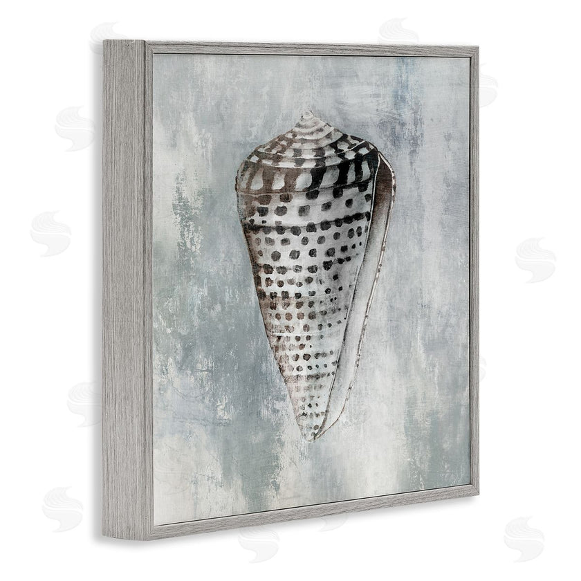 Eli Jones | Organic Cowrie Shell