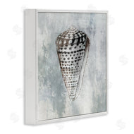 Eli Jones | Organic Cowrie Shell