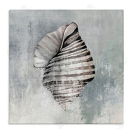 Eli Jones | Organic Twisted Seashell