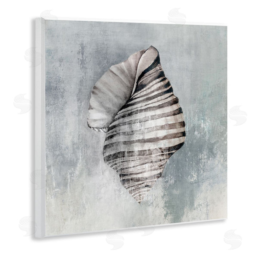Eli Jones | Organic Twisted Seashell