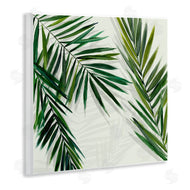 Hannah Dawson | Restful Palms with Shadows