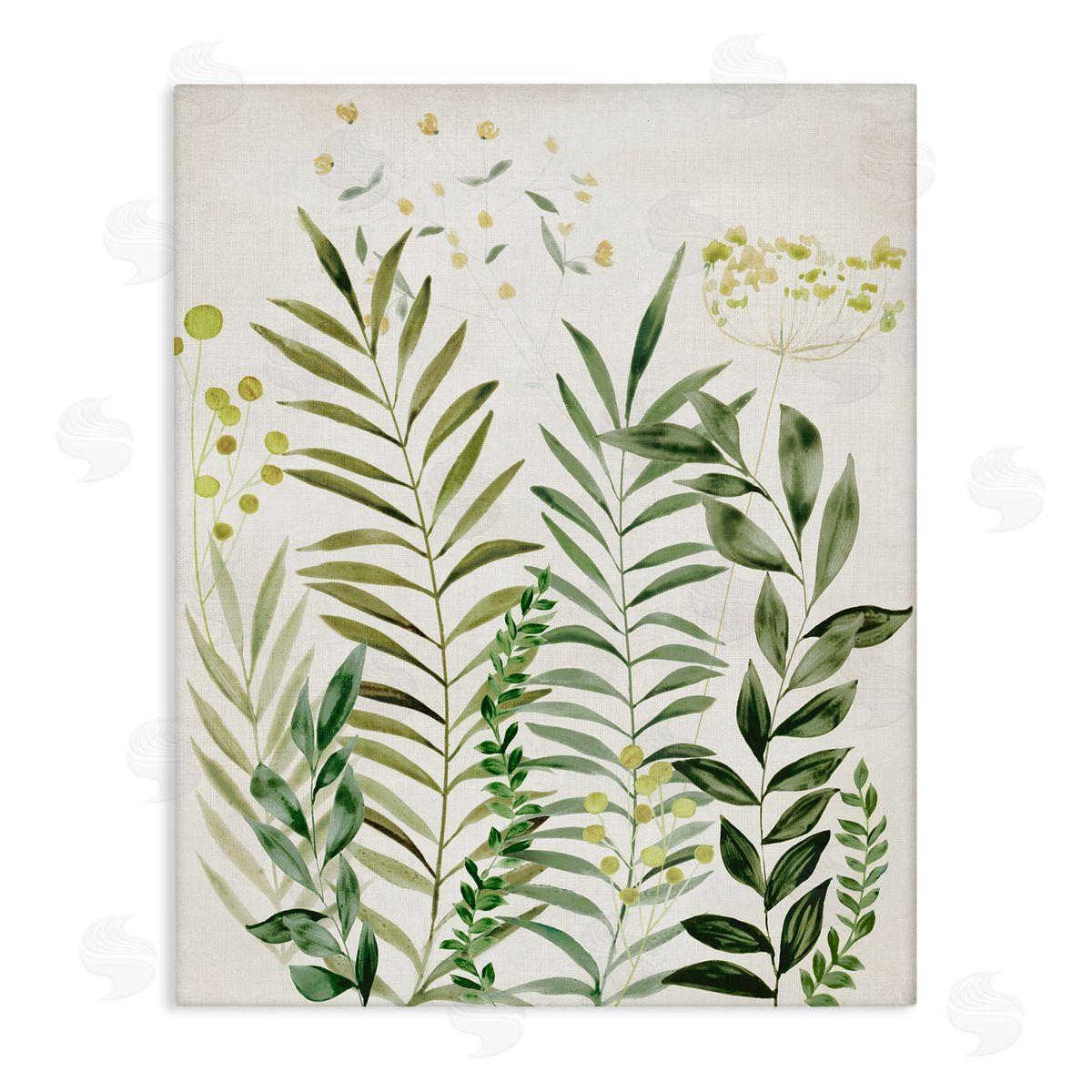 Delicate Herbs & Leaves Canvas Wall Art, Home Decor by Hannah Dawson