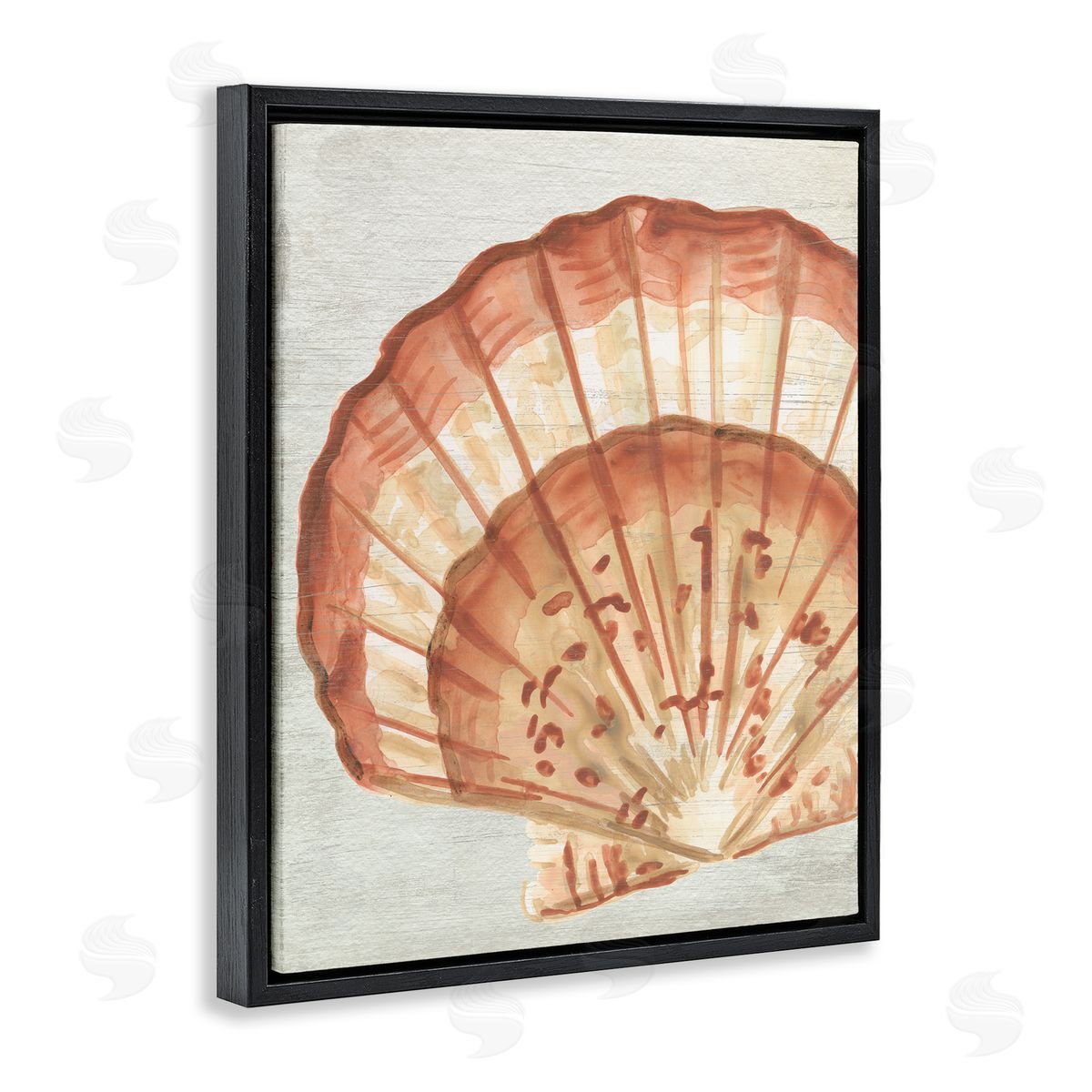 Clam Shell in Beige Black Floating Frame Canvas Wall Art, Home Decor by June Erica Vess