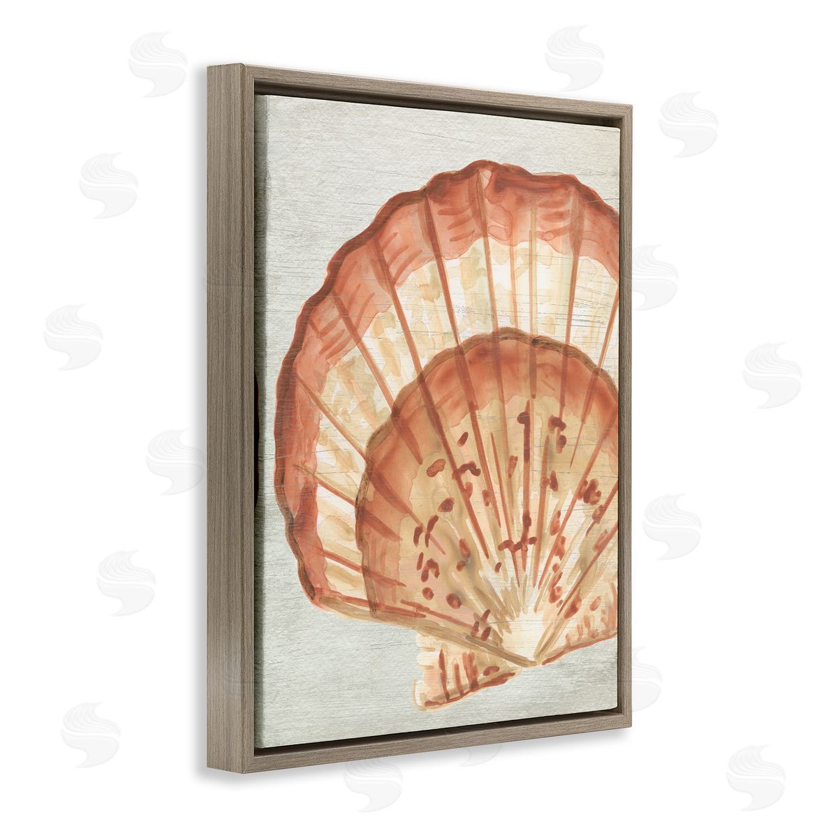 Clam Shell in Beige Brown Floating Frame Canvas Wall Art, Home Decor by June Erica Vess