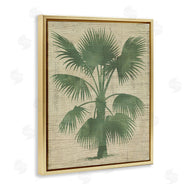 June Erica Vess  | Vintage Distressed Palm