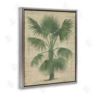 June Erica Vess  | Vintage Distressed Palm
