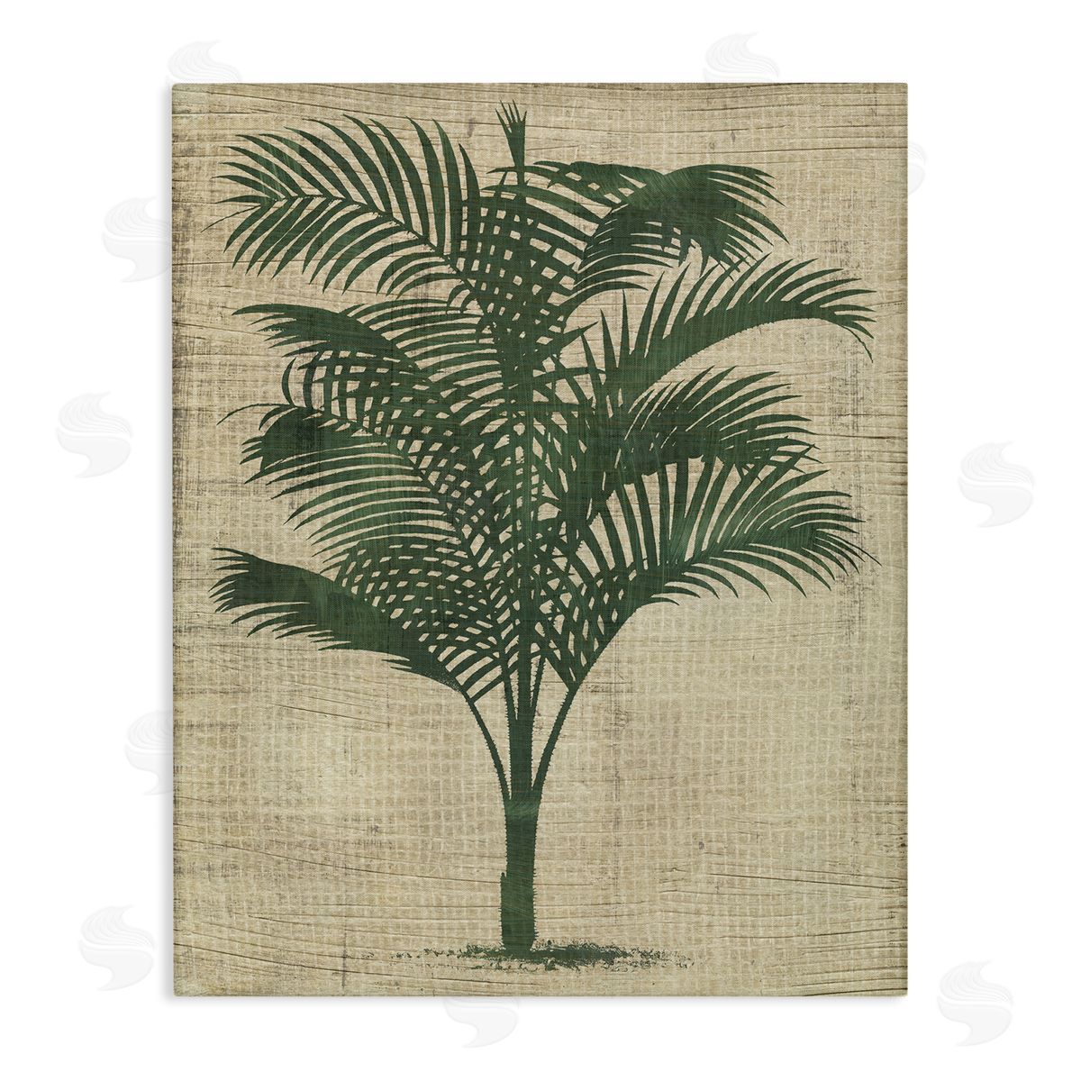 Vintage Palm Plant Canvas Wall Art, Home Decor by June Erica Vess