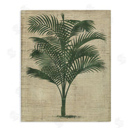 June Erica Vess  | Vintage Palm Plant