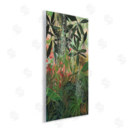 Jenny Westenhofer | Dense Rain Forest Plants