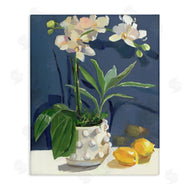 Jenny Westenhofer | White Orchids & Lemons