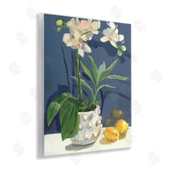 Jenny Westenhofer | White Orchids & Lemons