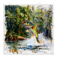 LSR Design Studio | Jumping Bass Splash