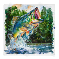 LSR Design Studio | Splashing Bass Fish