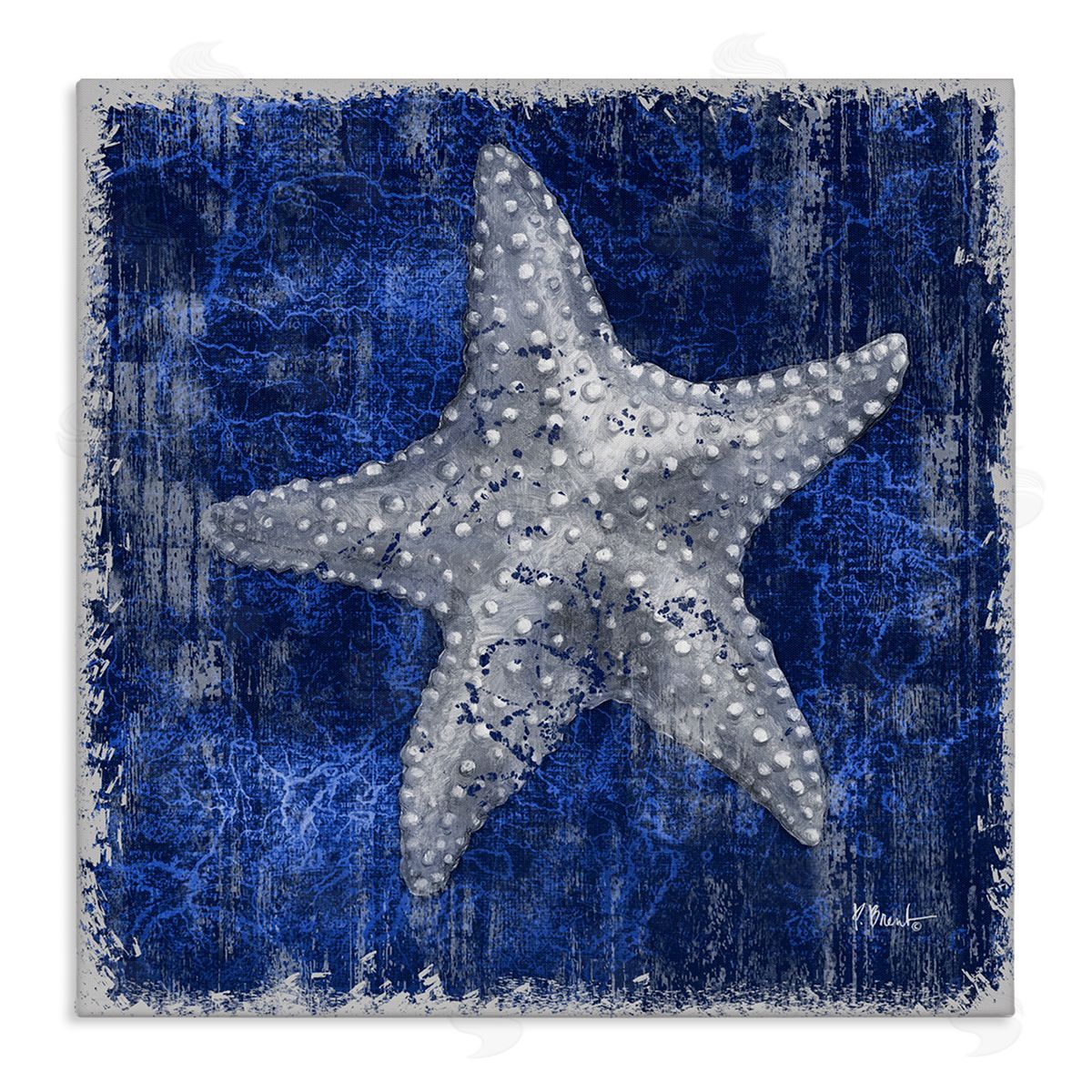 Rustic Indigo Starfish Canvas Wall Art, Home Decor by Paul Brent