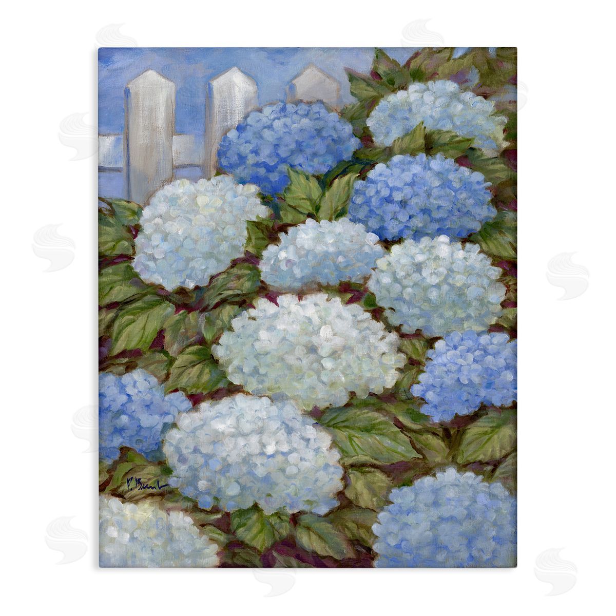Blue & White Hydrangea Canvas Wall Art, Home Decor by Paul Brent