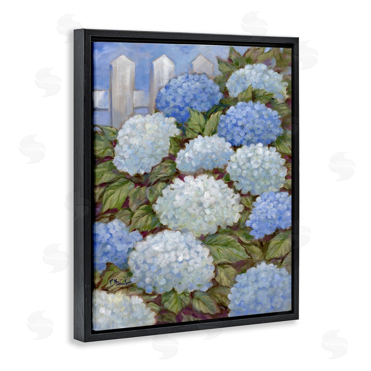 Blue & White Hydrangea Black Floating Frame Canvas Wall Art, Home Decor by Paul Brent