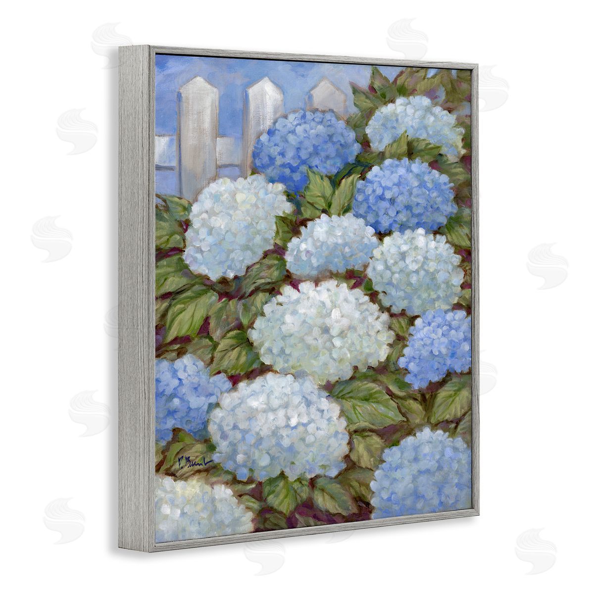 Blue & White Hydrangea Grey Frame Print Wall Art, Home Decor by Paul Brent