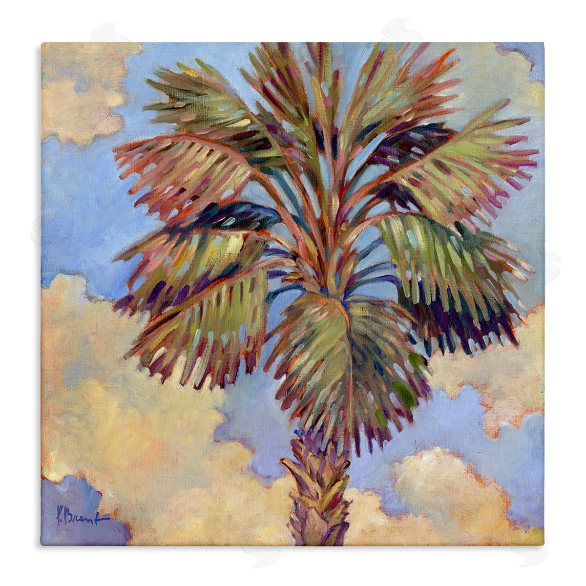 Santa Rosa Palm Canvas Wall Art, Home Decor by Paul Brent