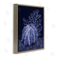 Paul Brent | Dark Sea Urchin