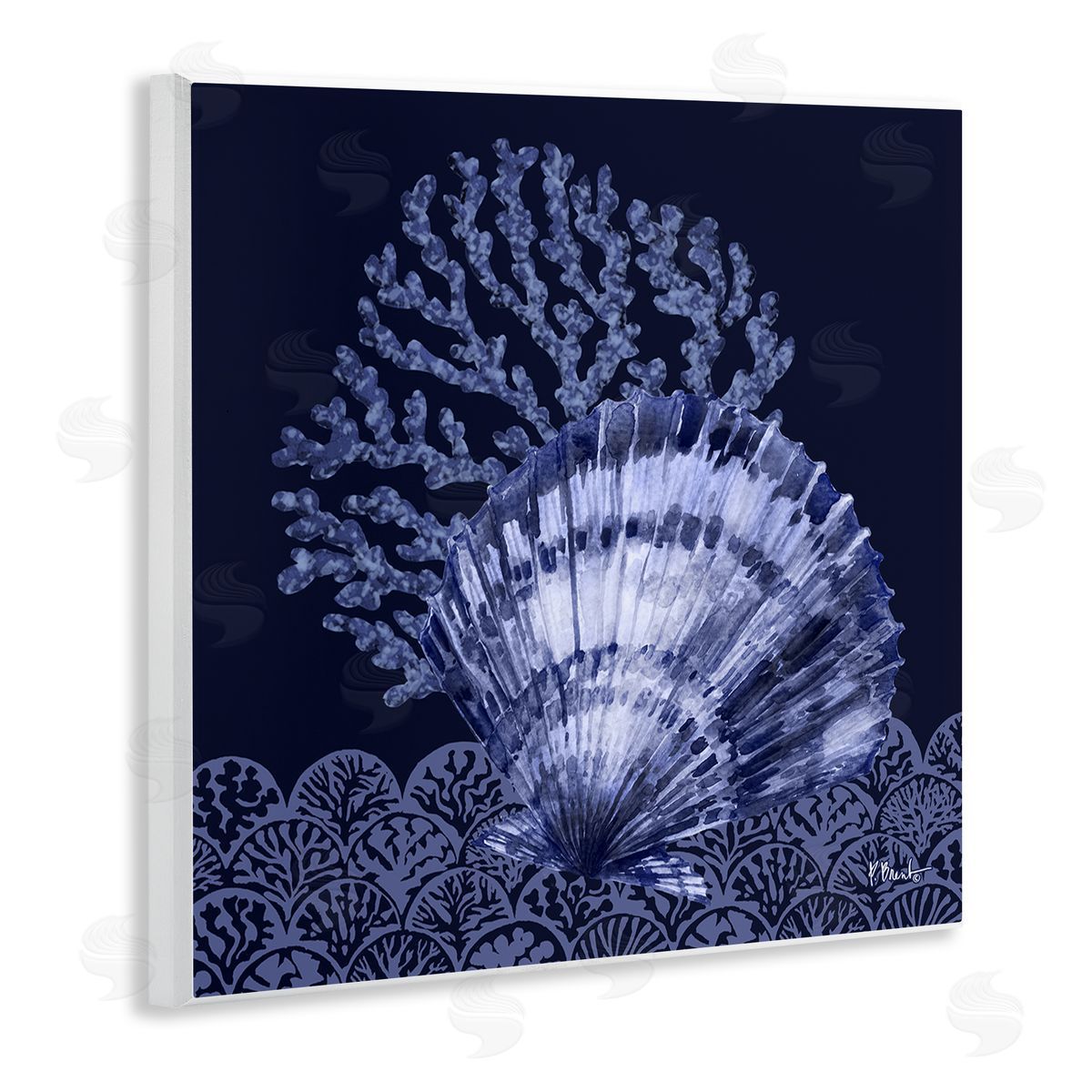 Shadowed Clam Still Life Wood Plaque Wall Art, Home Decor by Paul Brent