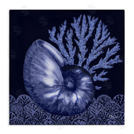 Paul Brent | Shadow Nautilus Shell