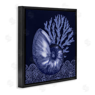 Paul Brent | Shadow Nautilus Shell
