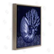 Paul Brent | Shadow Nautilus Shell